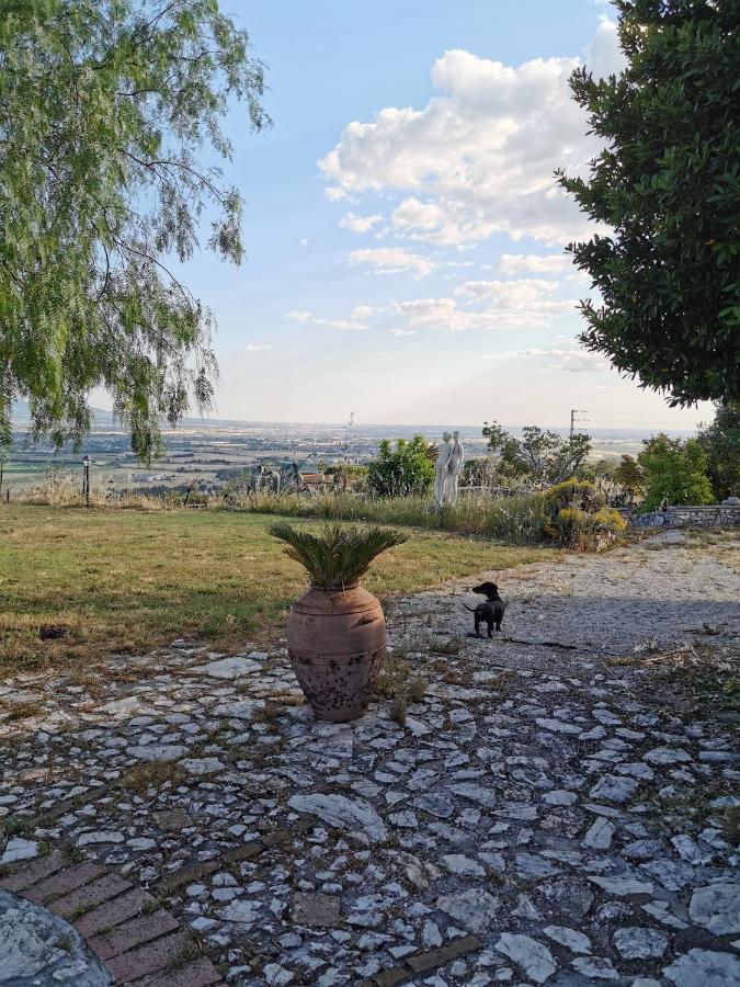 Villa Dei Romani - Country House Guidonia Exteriör bild